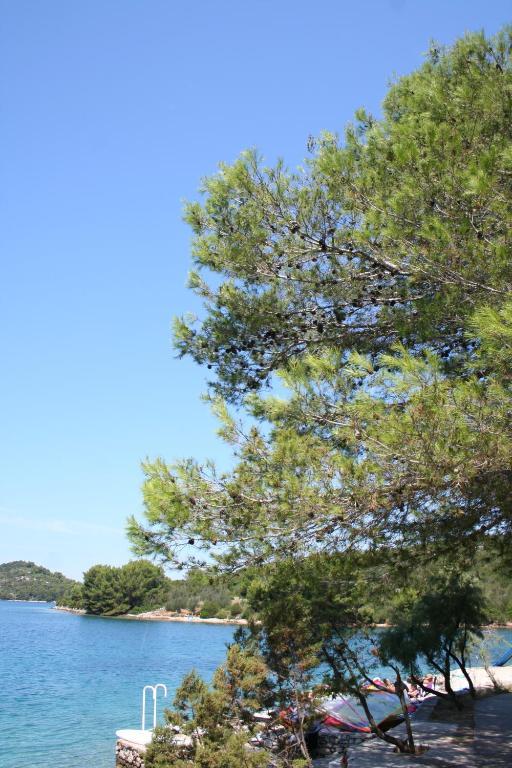 Hotel Luka Luka  Εξωτερικό φωτογραφία