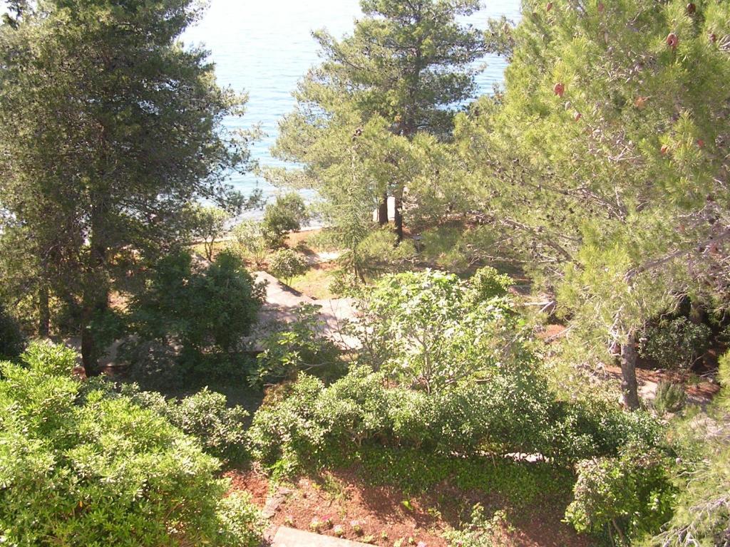 Hotel Luka Luka  Εξωτερικό φωτογραφία